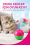 Pink Moving Cat Ball Mouse Water Play Mat Scratching Set