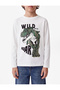 Dinosaur Print Crew Neck Long Sleeve Cotton T-Shirt - 2
