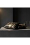 Noira Series Luxury Throw Pillow Set with Inner Filling, Special Woven Premium Decorative Product