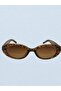 Leopard Coffee Cat Oval Unisex Sunglasses Uv-400 - 4