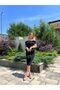 Rochie Serena - 3