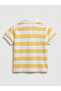 Boys Y/D Stripe Polo Tshirt S/S, 12M - 2