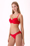 Lace Padded Underwire Bra Set - 2