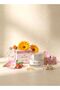 Moisturizing Face Cream | Collagen & Vitamin E | Luxury Italian Hydration - 5