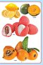 My Jumbo Fruit Pictionary - 7