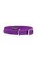 Flex Cat Collar - Violet