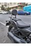 CLC 450 Sissy Bar
