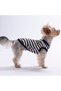 Joy Embroline T-Shirt Cat Dog T-Shirt-Cat Dog Outfit - 2