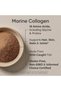 Marine Collagen Peptides - Beauty Collagen Supplement for Women & Men (Dark Chocolate) - 4