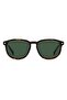 PLD 4117/G/S/X HAVANA for MAN Sunglasses 55 mm - 3