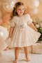 Girl's Ecru Dress with Gift and Buckle Combination Birthday Party Dress for 2-4 Years Old - 4