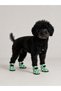 New Season Dog Paw Protective Shoes – Green Daisy, Waterproof, Non-Slip Sole, 4 Pieces - 2