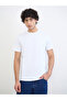 Men Regular Fit Cotton Rich Jersey T-Shirt - 3