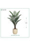 Artificial Areca Tree Fibre Pot { Height 155 cm } - 2