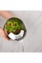 Gourmet Mixing Bowl with Strainer Tkebt Inox