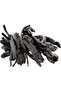 Air Mercury Root Natural 1000 Gr Package