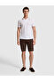 Dark Brown Slim Fit Woven Shorts 50327884-Vr084