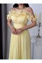 Yellow Flounce Strap Ruffle Lined Chiffon Evening Dress - 5
