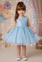 Baby Girl Children's Birthday Party Wedding Dress Tulle Tutu Lined Children's Clothing Baby Clothing Baby Girl Elbyyprpul - 2