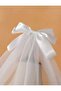 Bride's veil - 2