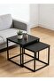Migue home Set of 2 Nesting Square Coffee Table for Living Room, Side Table, Easy Assembly, Black Color