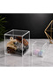 5mm Transparent Plexi Acrylic Box 15X15 cm