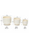 3-Piece Ceramic Flower Pot Set with Textured Design Decorative Indoor & Outdoor Planters for Succulents, Cactus, Herbs & Small Plants White - 6