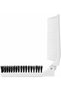 Travel Folding Hair Brush with Comb, Collapsible Portable Pocket Nylon Mini Beard Brush for Men, Women, Thick and Thin Curly Straight Hair, Comb for Parting