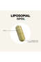 Liposomal Nmn Platinum Vitamin B12, Trans-Resveratrol, Quercetin 90 Vegetable Capsules - 3