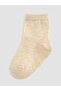 Quality Pieces from Çelebi Store Embroidered Baby Boy Socks 5-Piece Set - 5