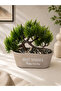 Artificial Bonsai Tree in Pot Decorative Tabletop Plant 15X15 cm - 2