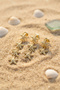 Set of 3 Gold Color Starfish Model Earrings