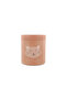 Recipient termic pentru alimente 500 ml - Cat