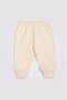 Baby Boy Set with Teddy Bear Print, Seasonal, 100% Cotton, Two-Piece Set, 3-24 Months - 5