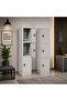 3-door gray security cabinet