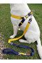 Dog Chest Harness Adjustable and Leash Set of 2 for Medium and Large Breeds Yellow & Navy Blue Fan