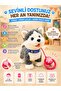 Cute Moving Sound-Creating Cat and Dog Toy – Walking, Musical, Sound Imitating, Tail Wagging Plush Toy - 2