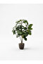 Artificial Plant in a Pot, 50cm High Interior Home Decor - 2