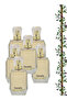 6 قطع عطر باراديس 100 مل
