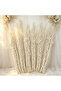 FFD Dried White Curly Willow Branches, Natural Decorative Twigs for Home & Event Styling - 6