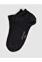 Women's 3-Piece Booties Socks 50334008-Vr033