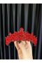 Bride Engagement Henna Word Crown Favorite - 4