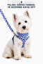 Adjustable Scarf, Chest Harness and Travel Strap Set of 3 - 2