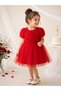 Baby Girl,Child Red Dress Short Sleeve Bowknot Birthday,Party Wedding,Special Occasion, Lined - 3