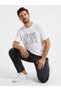 Men's Printed 100% Cotton T-Shirt