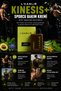 Kinesis + (Post-Workout Care Cream) - 3