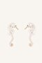 Women's Seahorse Figured Earrings H9163Axns - 2