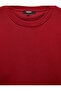 Cotton Long Sleeve Raised Crew Neck Men's Basic Sweatshirt - 7