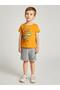 Baby Boy Animal Printed Shorts Set - 6