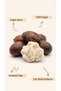 50 ml Shea Butter Oil / 100% Pure / Intense Moisturizer / Stretch Mark and Skin Care Oil / Cold Pressed - 8